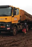 Logging Renault Trucks in Cameroon